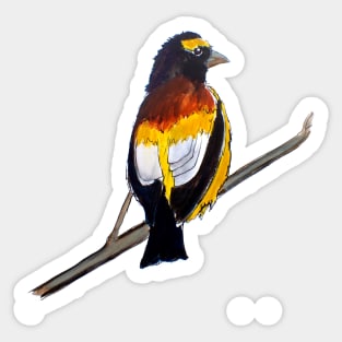 Evening Grosbeak Sticker